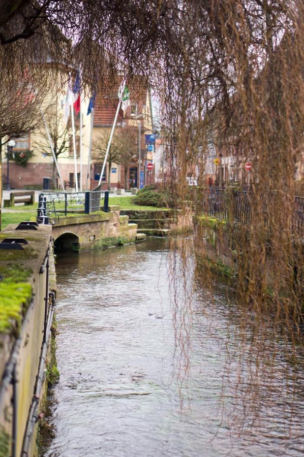 Meublé tout confort, avec terrasse Niederbronn-les-Bains Extérieur photo